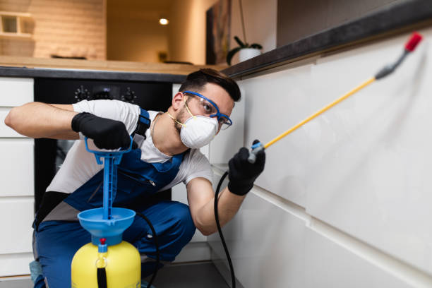 Best Wasp Removal Services  in Follansbee, WV