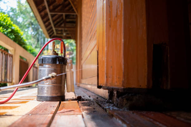 Best Local Pest Control Services  in Follansbee, WV