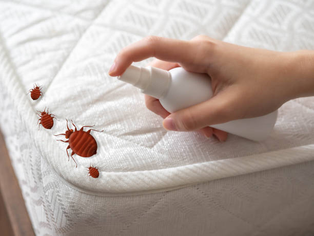 Best Commercial Pest Control Services  in Follansbee, WV
