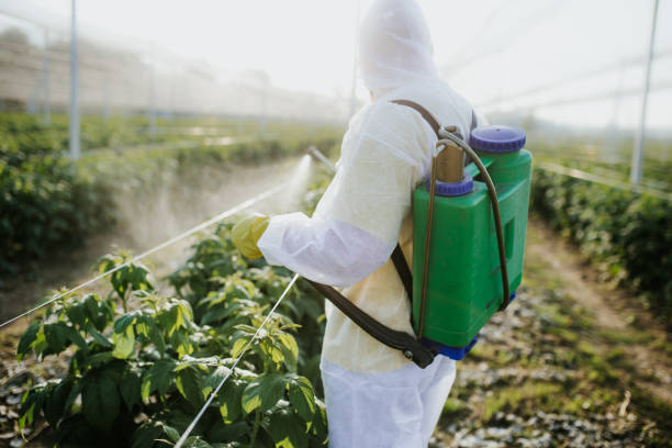 Best Pest Control Cost  in Follansbee, WV